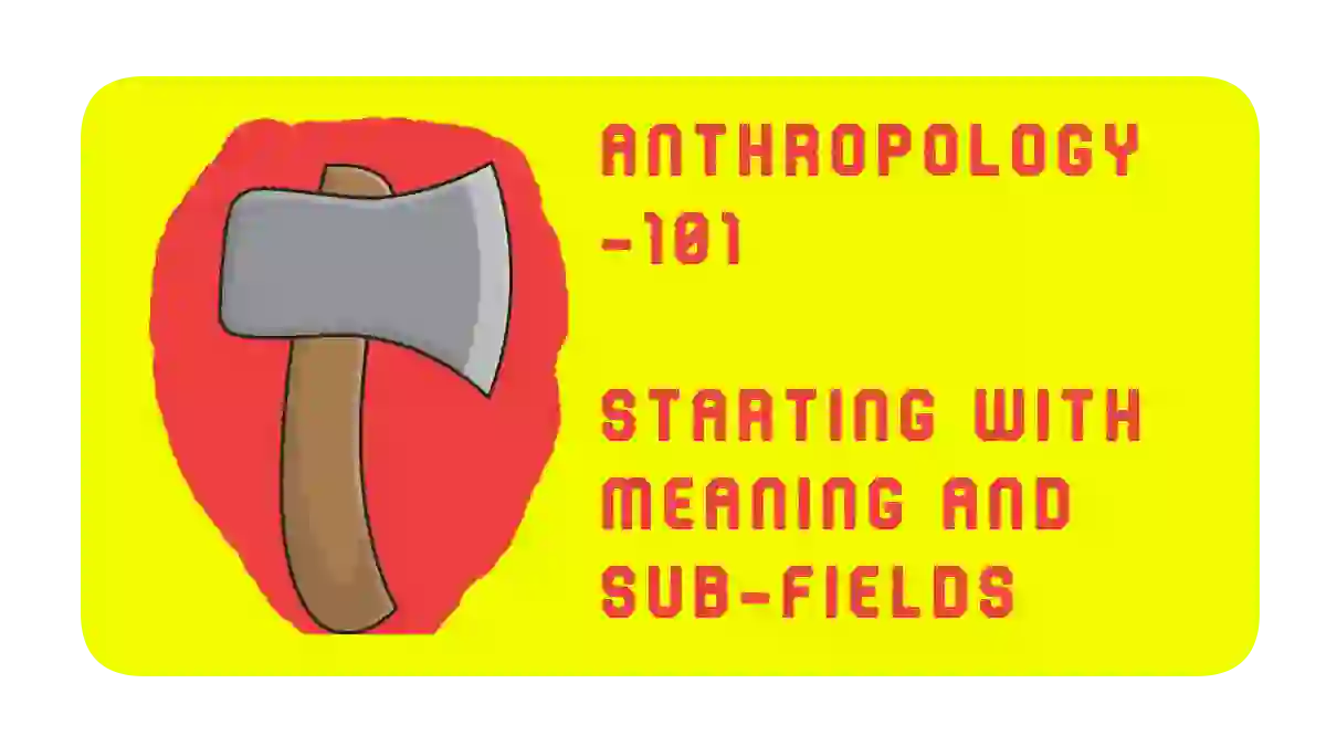 Anthropology Basics